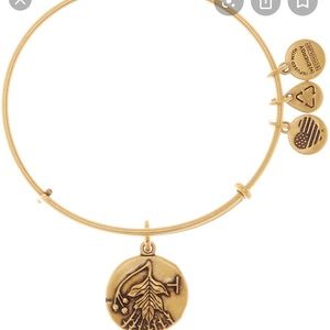 Alex and ani bangle